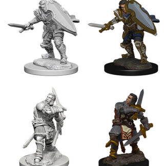 D&D Nolzur's Marv. Min. - Human Male Paladin