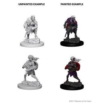 D&D Nolzur's Marv. Min. - Drow