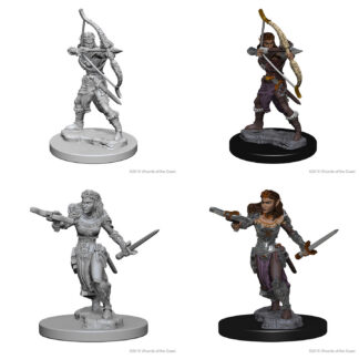 D&D Nolzur's Marv. Min. - Elf Female Ranger