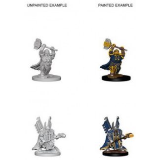 D&D Nolzur's Marv. Min. - Dwarf Male Paladin