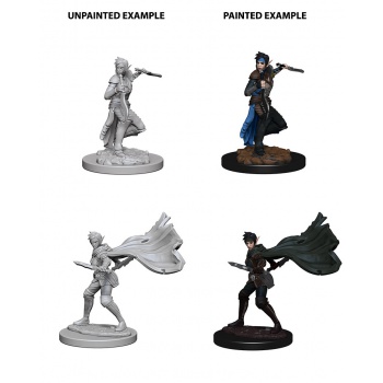 Pathfinder Deep Cuts - Elf Female Rogue