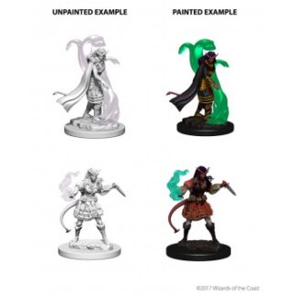 D&D Nolzur's Marv. Min. - Tiefling Female Sorcerer