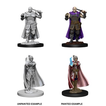 D&D Nolzur's Marv. Min. - H. Rang. & Moon Elf Sor.
