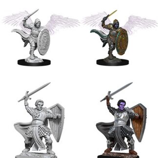 D&D Nolzur's Marv. Min. - Aasimar Male Paladin