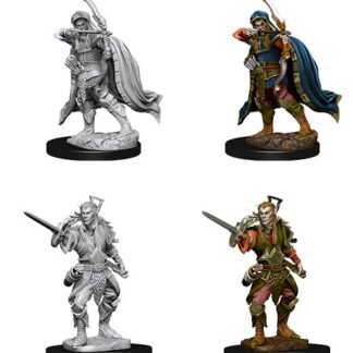 D&D Nolzur's Marv. Min. - Elf Male Rogue