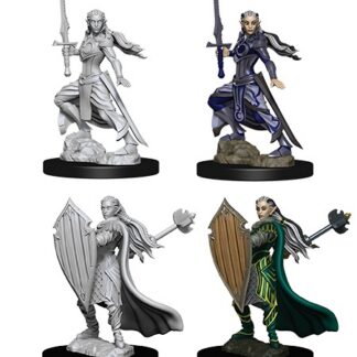 D&D Nolzur's Marv. Min. - Elf Female Paladin