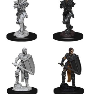 D&D Nolzur's Marv. Min. - Human Female Fighter