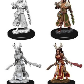 D&D Nolzur's Marv. Min. - Human Female Druid W9