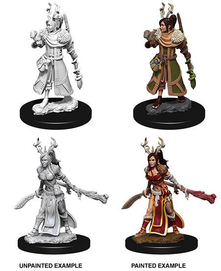 D&D Nolzur's Marv. Min. - Human Female Druid W9