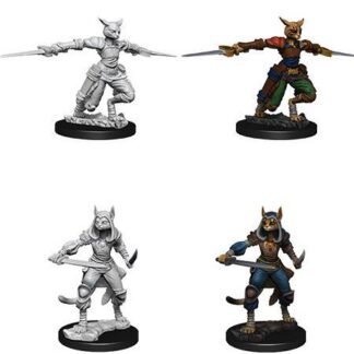 D&D Nolzur's Marv. Min. - Tabaxi Female Rogue