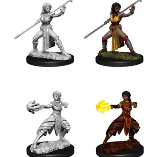 D&D Nolzur's Marv. Min. - Half Elf Female Monk