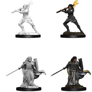 D&D Nolzur's Marv. Min. - Human Female Paladin