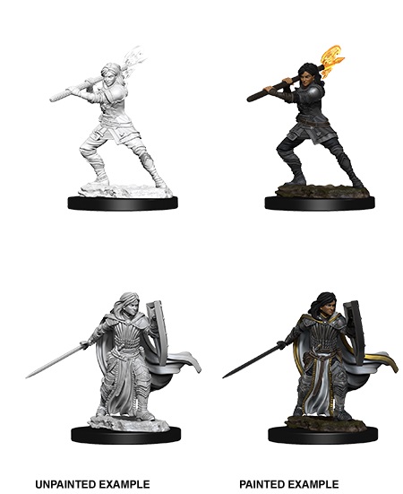 D&D Nolzur's Marv. Min. - Human Female Paladin
