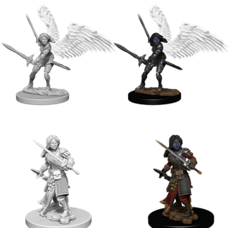 D&D Nolzur's Marv. Min. - Aasimar Female Paladin