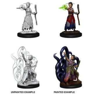 D&D Nolzur's Marv. Min. - Human Female Warlock