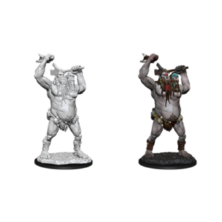 D&D Nolzur's Marv. Min. - Ettin