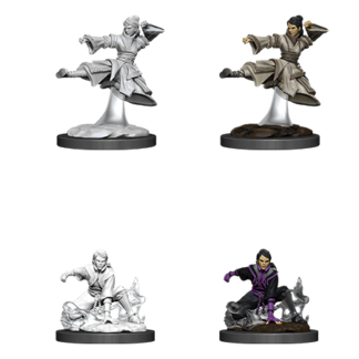 D&D Nolzur's Marv. Min. - Human Female Monk