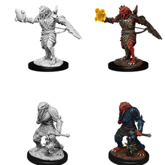 D&D Nolzur's Marv. Min. - Dragonborn Male Paladin