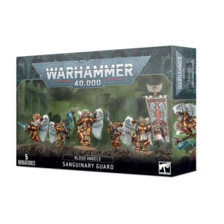 Blood Angels: Sanguinary Guard (old)