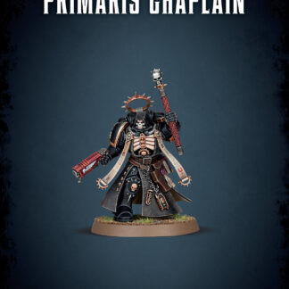 Space Marines: Primaris Chaplain