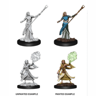 D&D Nolzur's Marv. Min. - Elf Female Sorcerer
