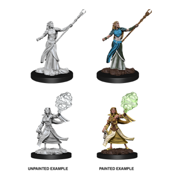 D&D Nolzur's Marv. Min. - Elf Female Sorcerer