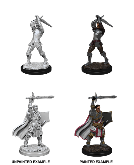 D&D Nolzur's Marv. Min. - Human Male Paladin 2
