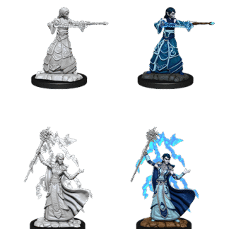 D&D Nolzur's Marv. Min. - Elf Female Wizard W12