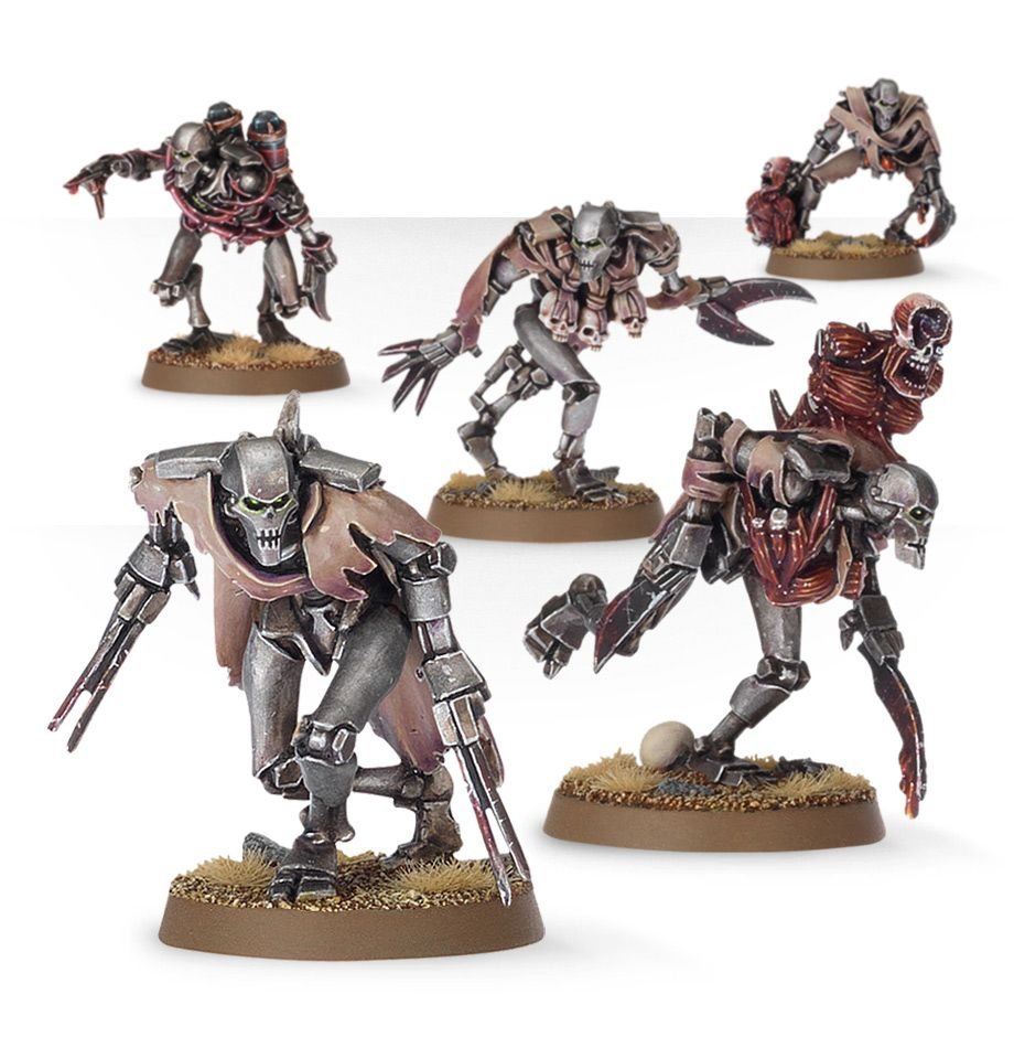 WH40K: Necrons: Flayed Ones (old)