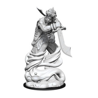 D&D Nolzur's Marv. Min. - Djinni W13