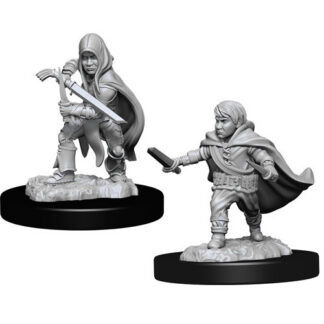 D&D Nolzur's Marv. Min. - Halfling Male Rogue W13