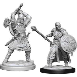 D&D Nolzur's Marv. Min. - Human Male Barbarian W13