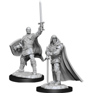 D&D Nolzur's Marv. Min. - Human Male Paladin W13
