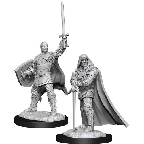 D&D Nolzur's Marv. Min. - Human Male Paladin W13