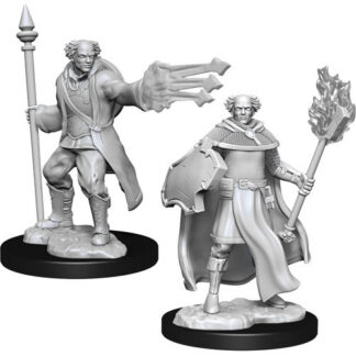 D&D Nolzur's - Multiclass Cleric + Wizard Male W13