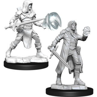 D&D Nolzur's - Multiclass Fighter + Wizard Male