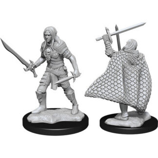 Pathfinder Deep Cuts - Elf Male Fighter W13