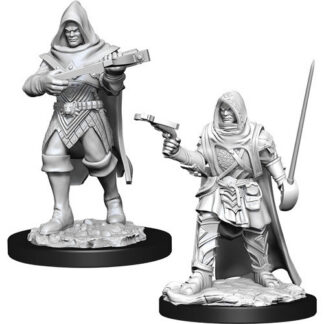 Pathfinder Deep Cuts - Human Male Rogue W13