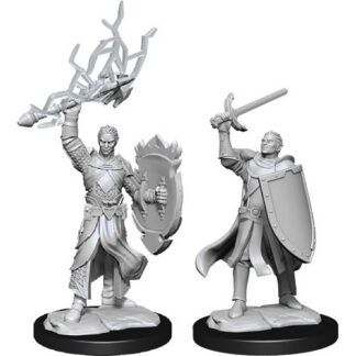 D&D Nolzur's Marv. Min. Half-Elf Male Paladin W14