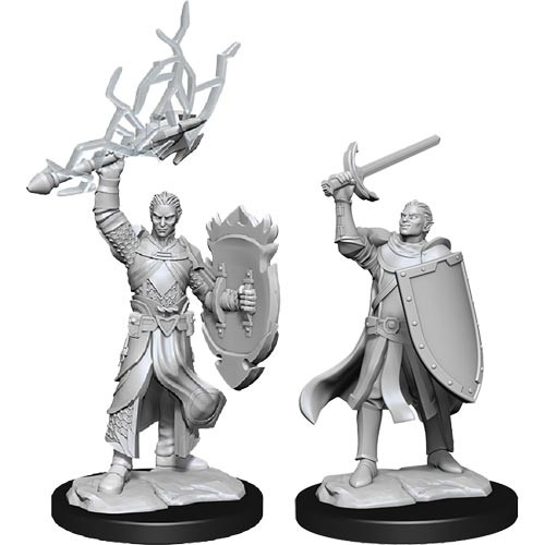 D&D Nolzur's Marv. Min. Half-Elf Male Paladin W14