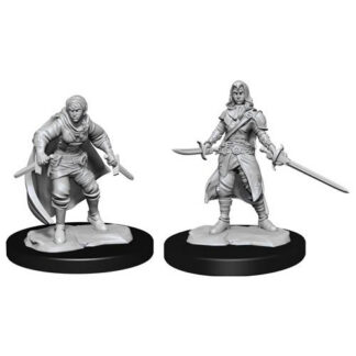D&D Nolzur's - Half-Elf Female Rogue W14