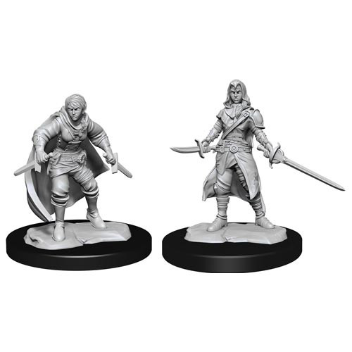 D&D Nolzur's - Half-Elf Female Rogue W14