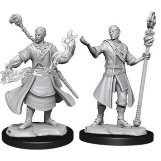 D&D Nolzur's Marv. Min. - Half-Elf Male Wizard W14