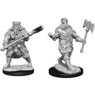 D&D Nolzur's Marv. Min. - Human Male Barbarian W14