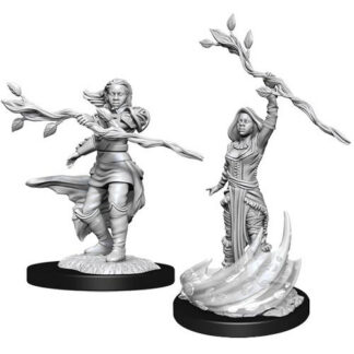 D&D Nolzur's Marv. Min. - Human Female Druid W14