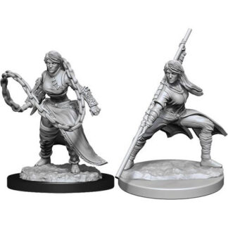 D&D Nolzur's Marv. Min. - Human Female Monk W14