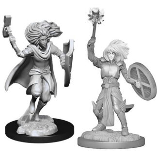 D&D Nolzur's Marv. Min. - Changeling Cleric