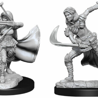 D&D Nolzur's - Air Genasi Female W15
