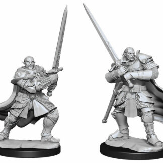D&D Nolzur's - Half-Orc Paladin Male W15