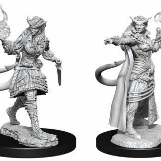D&D Nolzur's - Tiefling Female Sorcerer W15
